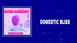 Glass Animal - Domestic Bliss (Lyrics) 🎵