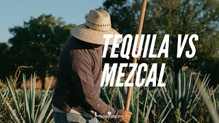 Corso Tequila E Mezcal Di Bartendersonline.it - Masterclass Di Roberto Artusio - Lezione 4