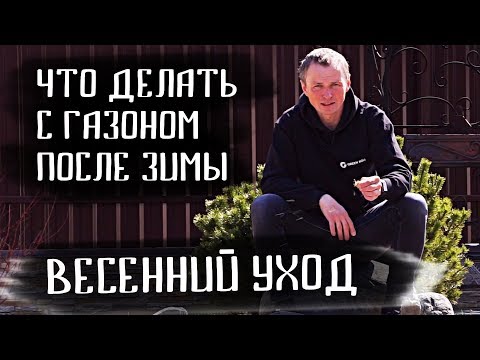 Как правильно ухаживать за рулонным газоном весной