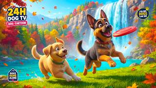 24 Hour Dog Cartoon 🍂🐶 | Funny Dog TV for Dogs Home Alone | Fall Frisbee Chase screenshot 5