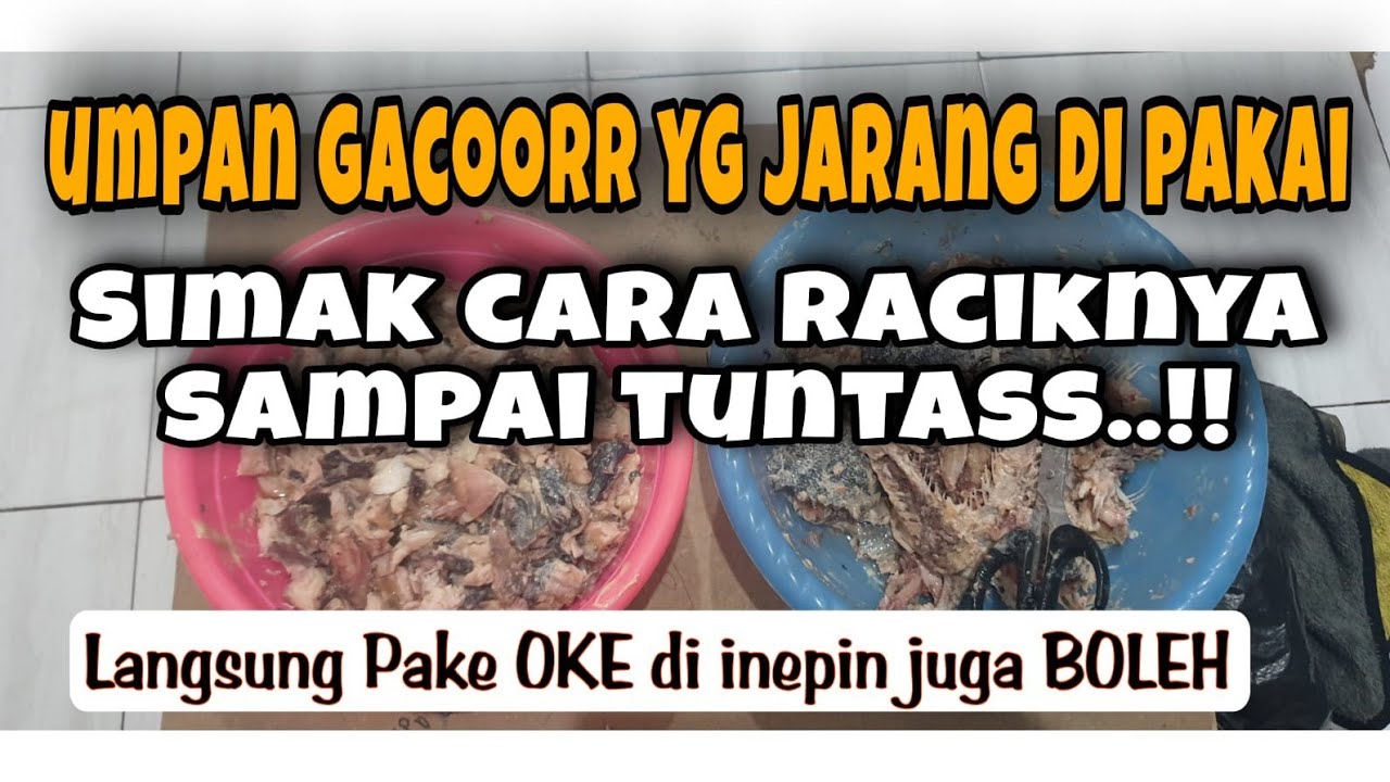 BONGKAR CARA RACIK UMPAN SASAK LELE VERSI KOMPLIT‼️DI JAMIN GAK BANYAK BENGONG PAS MANCING