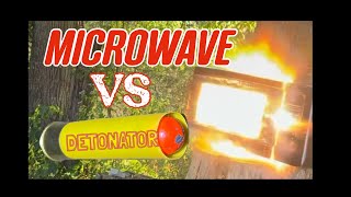 Microwave VS. Detonators #bullet #microwave #vs #explosion #bulletlover