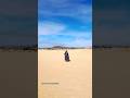 #travelvlog #traveling #couplegoals #couplestory #fuerteventura #canaryislands #spain