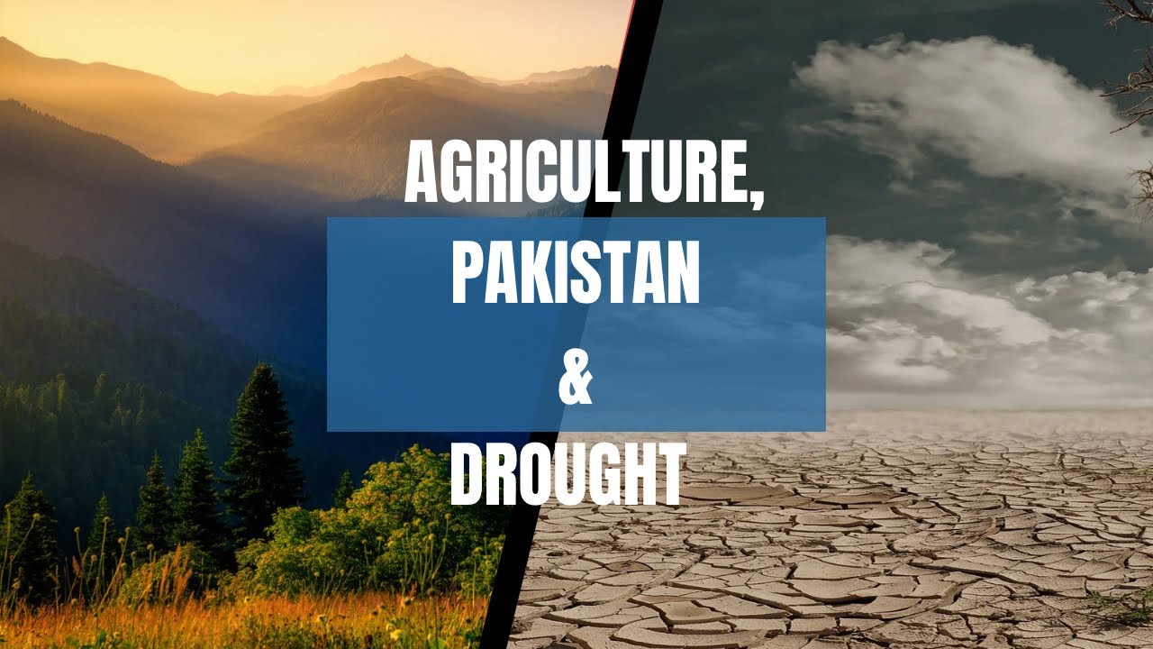 Agriculture and Pakistan's Economy
