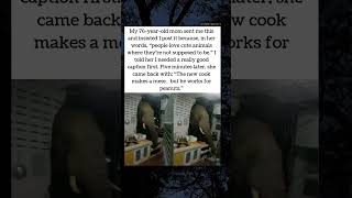 Hired for Peanuts 🥜😂