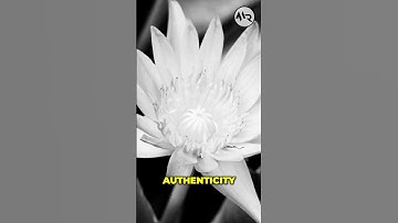 The Power of Honesty | Building Trust Together