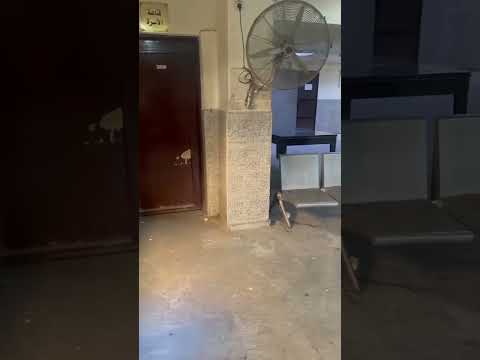 كارثة في محكمة الأسرة محكمة الأسرة محامي