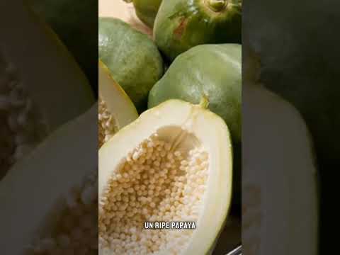 البابايا غير الناضجة طعام يجب تجنبه أثناء الحمل نصائح أساسية لل الحوامل