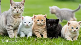 Download Lagu Salinan dari Bismillah MP3