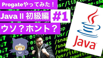 Java Ⅱ 学習編：1 true？or false 😁✨真偽値・比較演算子【Progateやってみた】