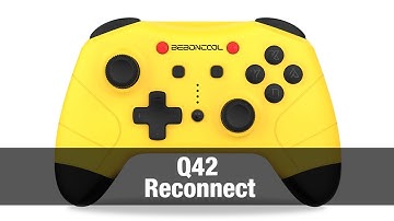 Q42 Reconnect