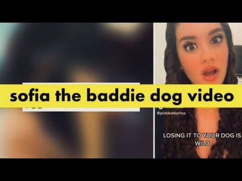 Watch sofiathebaddie twitter video | sofia the baddie dog video | sofiathebaddie reddit video