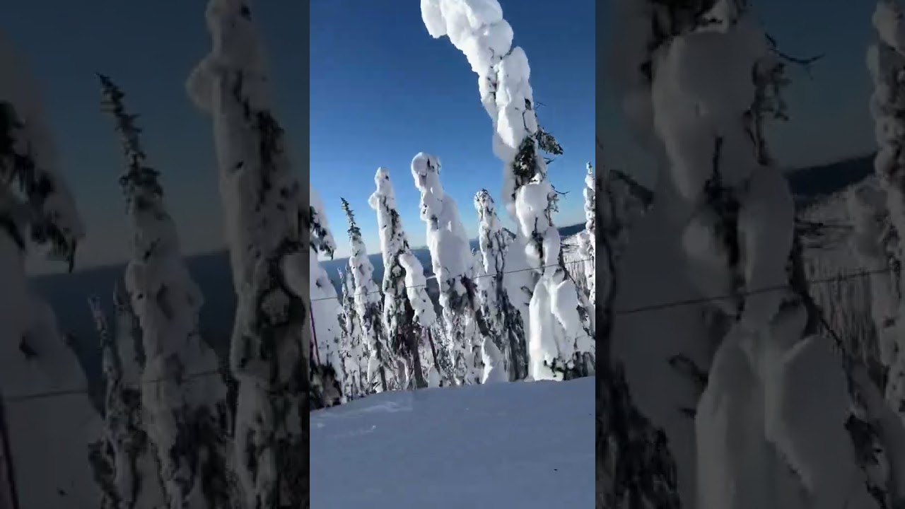 snowboarding szn 🏂❄️ 