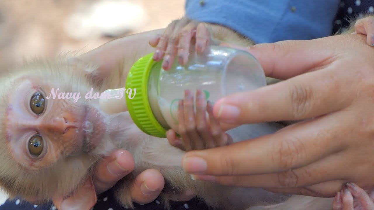 The Ultimate Guide to Deep sleep & Milk Feeding for Tiny Baby Royston ...