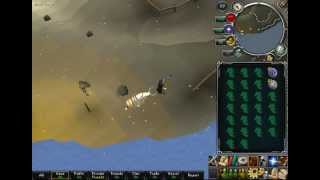 Collecting 1,250 Snape Gr Per Hour