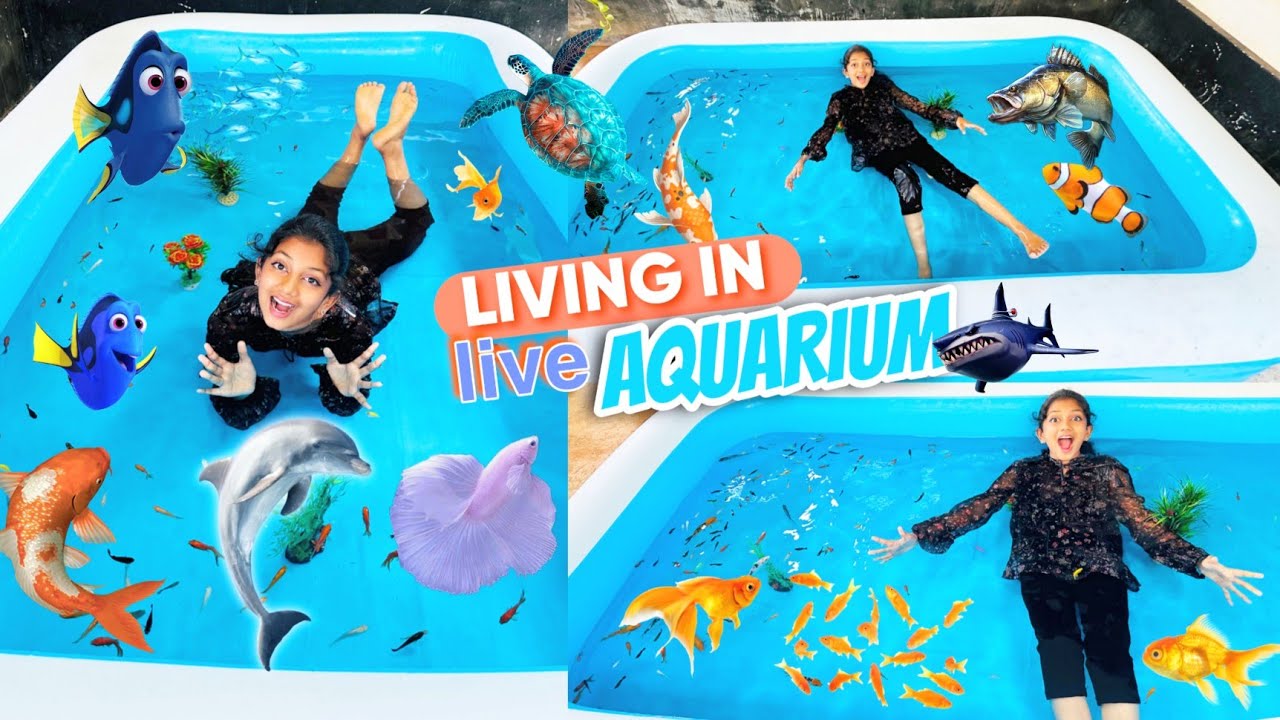 #Living In Aquarium🐠 #മീൻ കടിച്ചു🐬 #ആദ്യമായി 🐟minsha