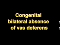 What Is The Definition Of Congenital bilateral absence of vas deferens