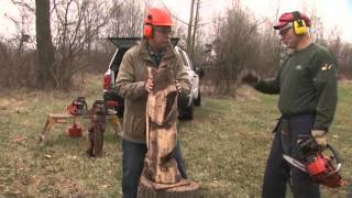Fantastic carving projects to accent your home. Scott and Suzy create a beautiful bracket and visitor Dayle Lewis carves a life-life 