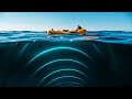 Il Misterioso Ronzio dell'Oceano - E Altri Rari Fenomeni Naturali