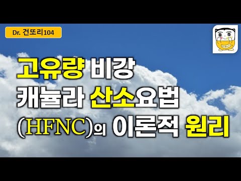 고유량 비강 캐뉼라 산소요법(HFNC) 이론적 원리