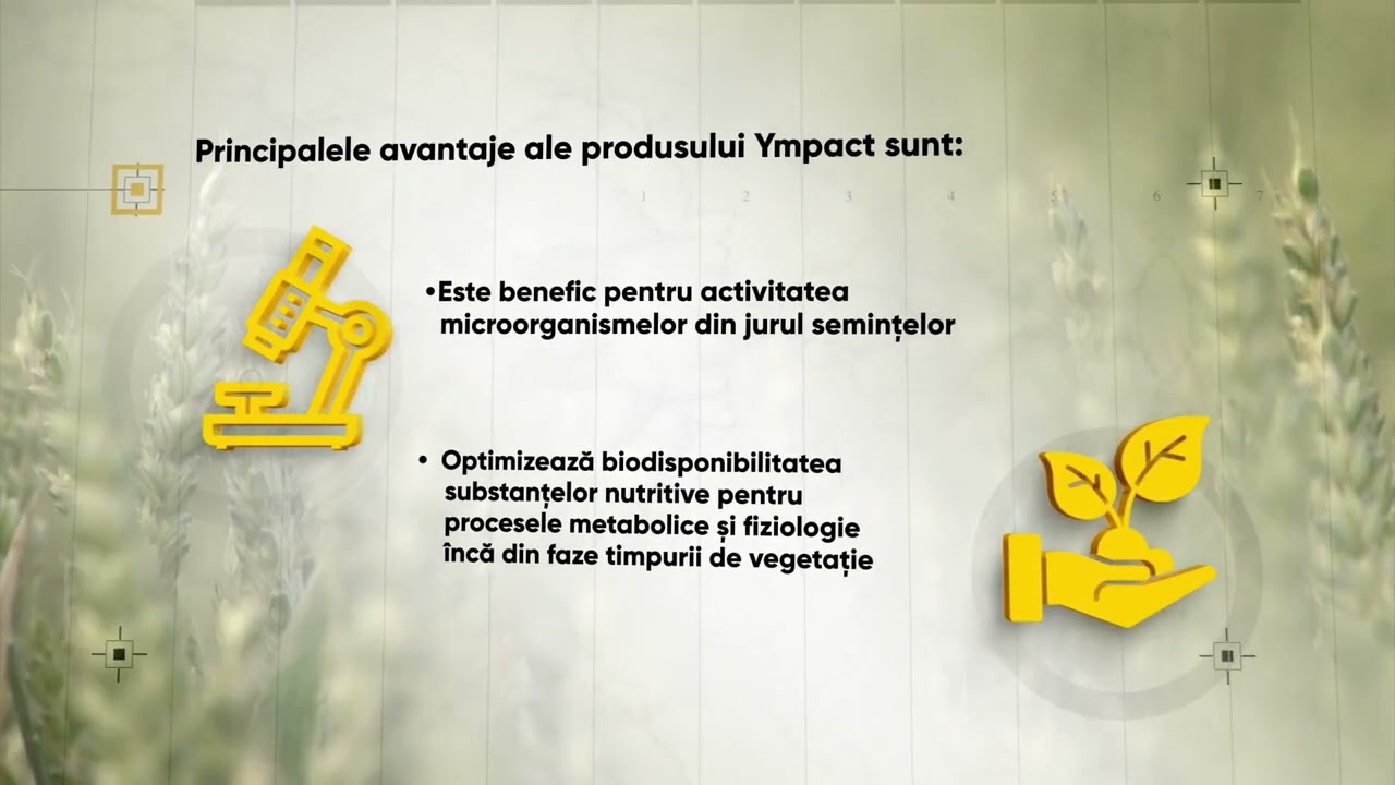 O cultură profitabilă începe cu o sămânță tratată cu Ympact®! 4 O cultură profitabilă începe cu o sămânță tratată cu Ympact®! YouTube player