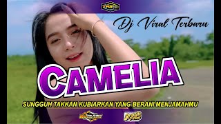 Download Lagu DJ CAMELIA yg Di Cari Cari, WJ AUDIO x GRAFIK POINT @trsmusicproduction MP3 Download Lagu DJ CAMELIA yg Di Cari Cari, WJ AUDIO x GRAFIK POINT @trsmusicproduction MP3