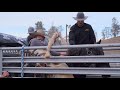 Justin Lawrence on California Toddy | Horses of Veater Ranch