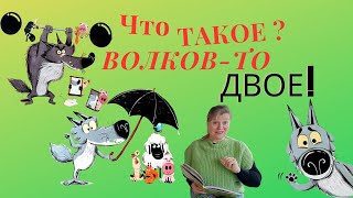 Что такое Волков то двое!/аудиосказки для детей/ и родителей/ добрая история для быстрого засыпания