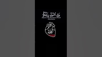 #قرآن #ارح_قلبك #ارح_سمعك #اكتب_شي_تؤجر_عليه #القرآن_الكريم #تلاوة_خاشعة #راحة_نفسية #اسلام_صبحي