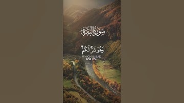 ماهر المعيقلي من سورة البقرة  | وعسى أن تكرهوا شيئا وهو خير لكم