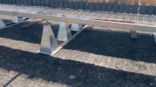 IMG 6282