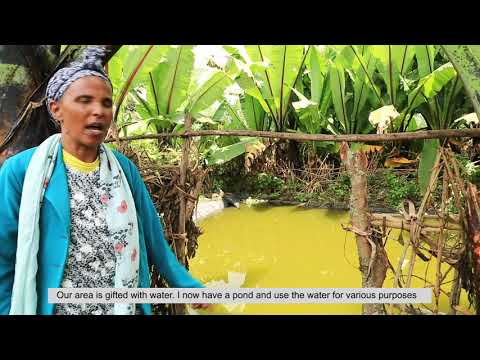 Inspired To Inspire Others Bekelech Belachew S Story