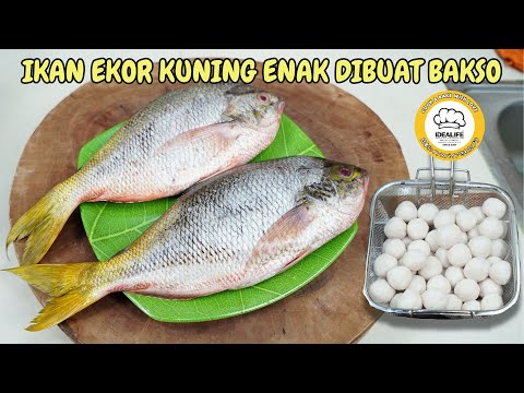 IKAN EKOR KUNING
