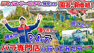 🌹 Rose & Pansy Viola's New Program 🌹] What's This Place?! We