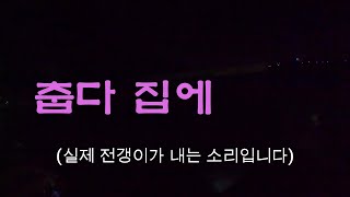 10월 가덕도 아징,풀치 탐사