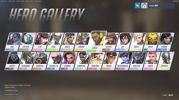 Massive Overwatch UI Glitch
