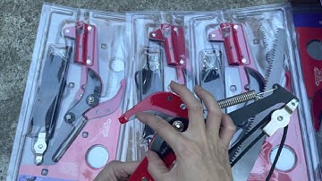 CẮT TỈA CÀNH TRÊN CAO .ĐẦU KÉO CẮT CÀNH LH 0916693112 #daukeogiatcanhtrencao