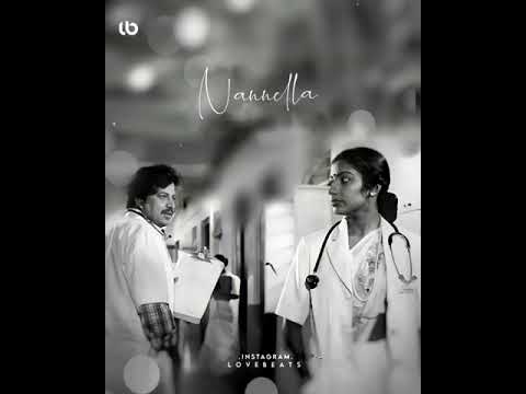 whatsapp status video