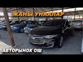 АБАЛЫ ИДЕАЛ УНААЛАР👍 Свежий Перегон Навес Астында/ ИШИ ЖОК👍СЕЛ И ПОЕХАЛ Авторынок ОШ