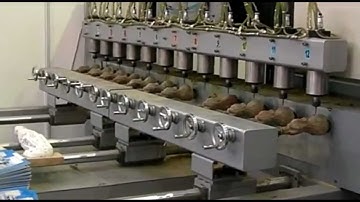 Four Multi-Rotary Axis High Presicion Multi-heads CNC Woodworking Machine