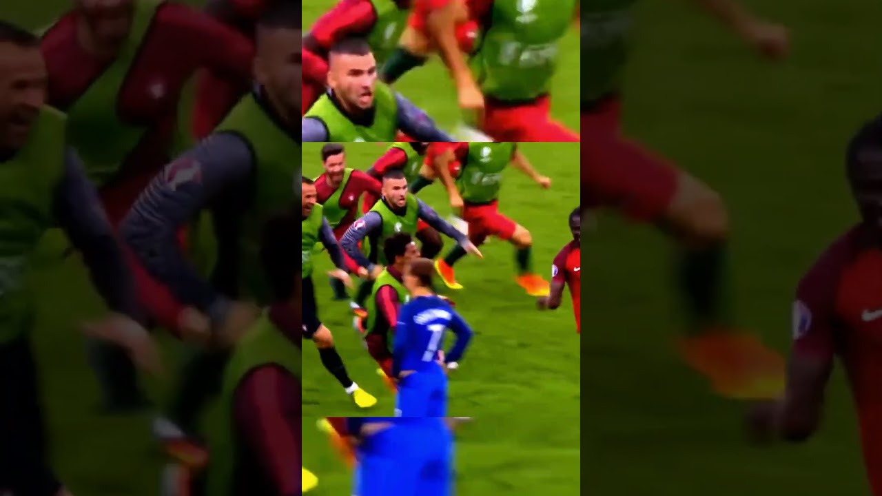 Edér goal agianst france