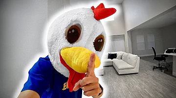 Como assustar uma galinha?