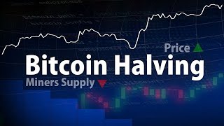 Bitcoin Halving 2024 and the Future of Cryptocurrency | Harry Crypto