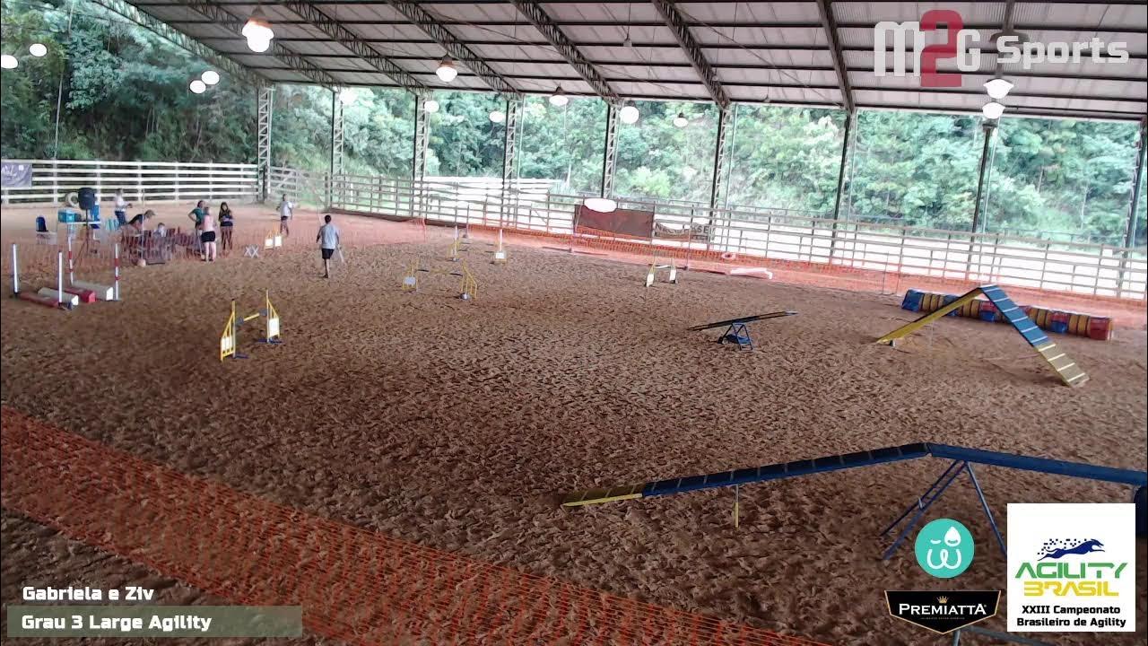 Campeonato Brasileiro de Agility #agility #pet #pets #crufts #petlovers 