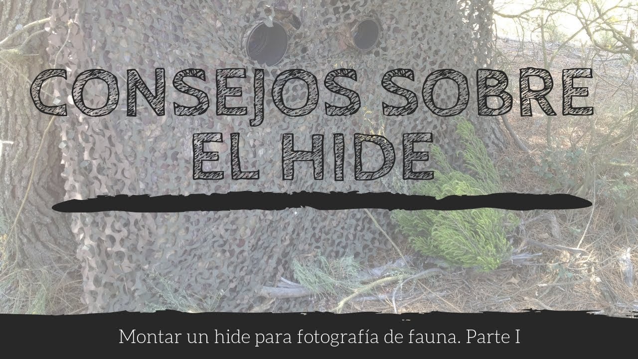 Consejos para utilizar un hide para fotografía Parte I 
