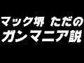 マック堺 ただのガンマニア 鍛えてもないし 大したことない説