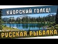 РУССКАЯ РЫБАЛКА 4 🐟 КАК ПОЙМАТЬ КУОРСКОГО ГОЛЬЦА??!