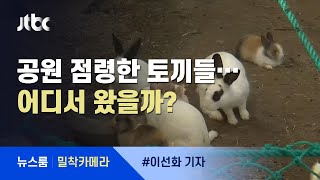 [밀착카메라] 도심 사육장에 방치…"토끼 좀 살려주세요" / JTBC 뉴스룸