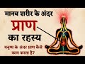              secret of prana in human body