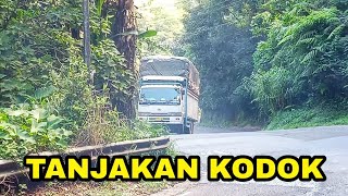 DETIK DETIK MOBIL TRUK UD QUESTER NANJAK SANTUY (TANJAKAN KODOK) #truck #extremeroads
